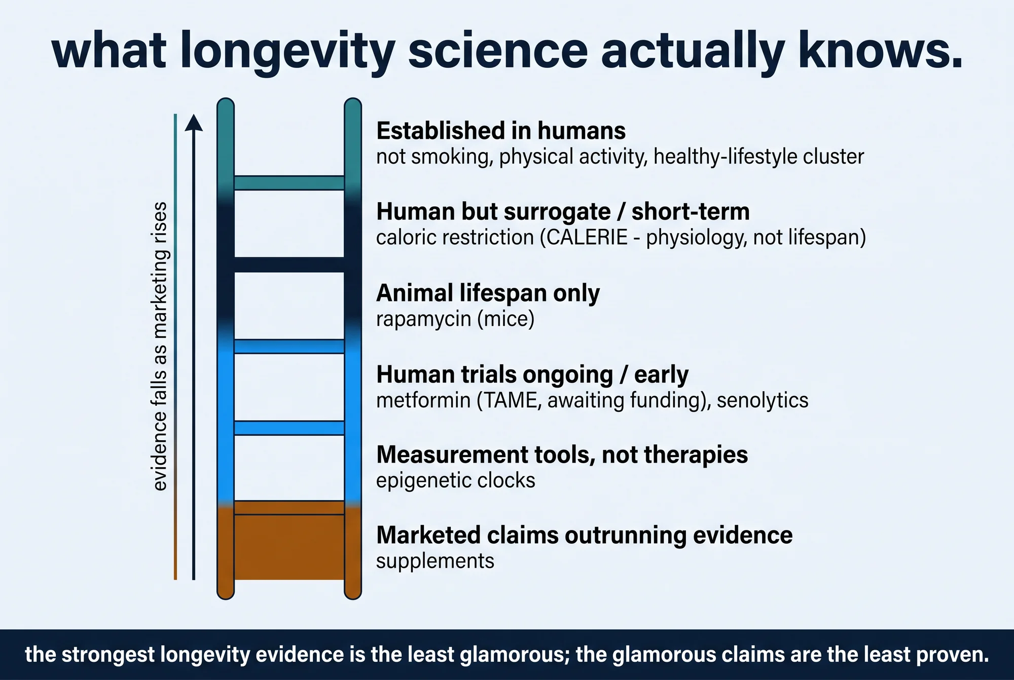 Evidence ladder showing what longevity science currently knows