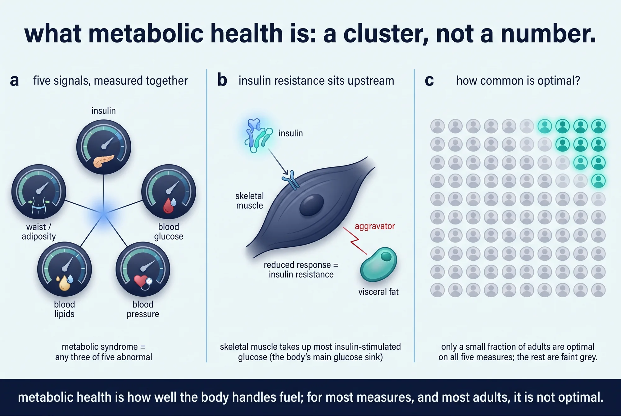 Illustrated overview of the interacting markers of metabolic health